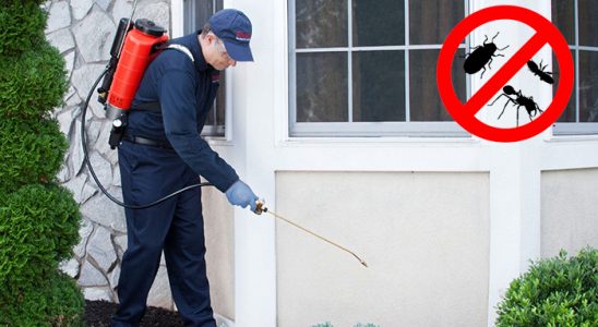 Çelebi Gümüşkurt İlaçlama böcek ilaçlama ve haşere kontrolü — ilaclama-tr.com